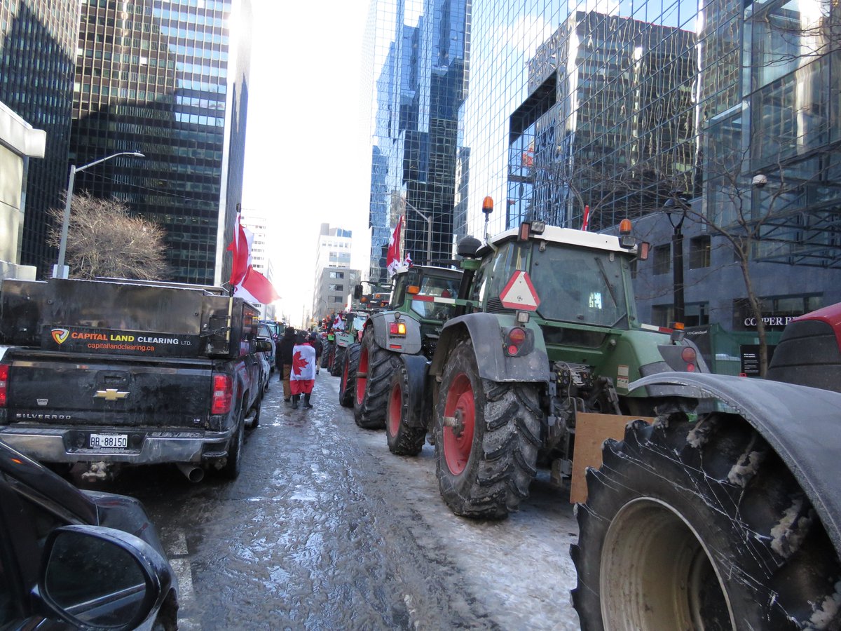 ChloroquineGuerilla😊 tweet media