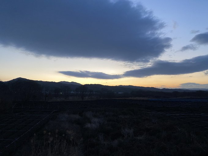 今日も寒かった🥶
早く桜見ながら散歩したい🌸 