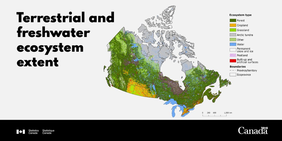 StatCan_eng's tweet photo. Researchers, teachers and #students—are you looking for visual information on how Canada’s #ecosystems have changed over time? Check out our maps, which illustrate the extent and condition of the country’s ecosystems: https://t.co/Xeo9fzWyBu . #CDNEnv #CanEnvironment https://t.co/9qp3DmKhzx