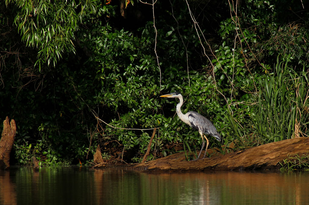 Fray Bentos será sede del Encuentro de Áreas Naturales Protegidas en la cuenca del Río Uruguay
rionegrodigital.uy/encuentro-de-a…