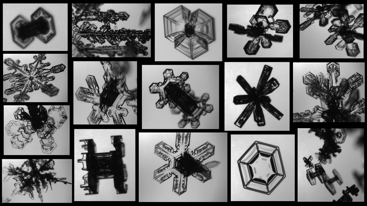 NWSEastern's tweet image. Beautiful in-cloud snow crystal images captures by the Particle Habit Imaging and Polar Scattering (PHIPS) probe onboard the NASA P-3 flying during the @SnowIMPACTS mission Friday February 4, 2022 over New England.