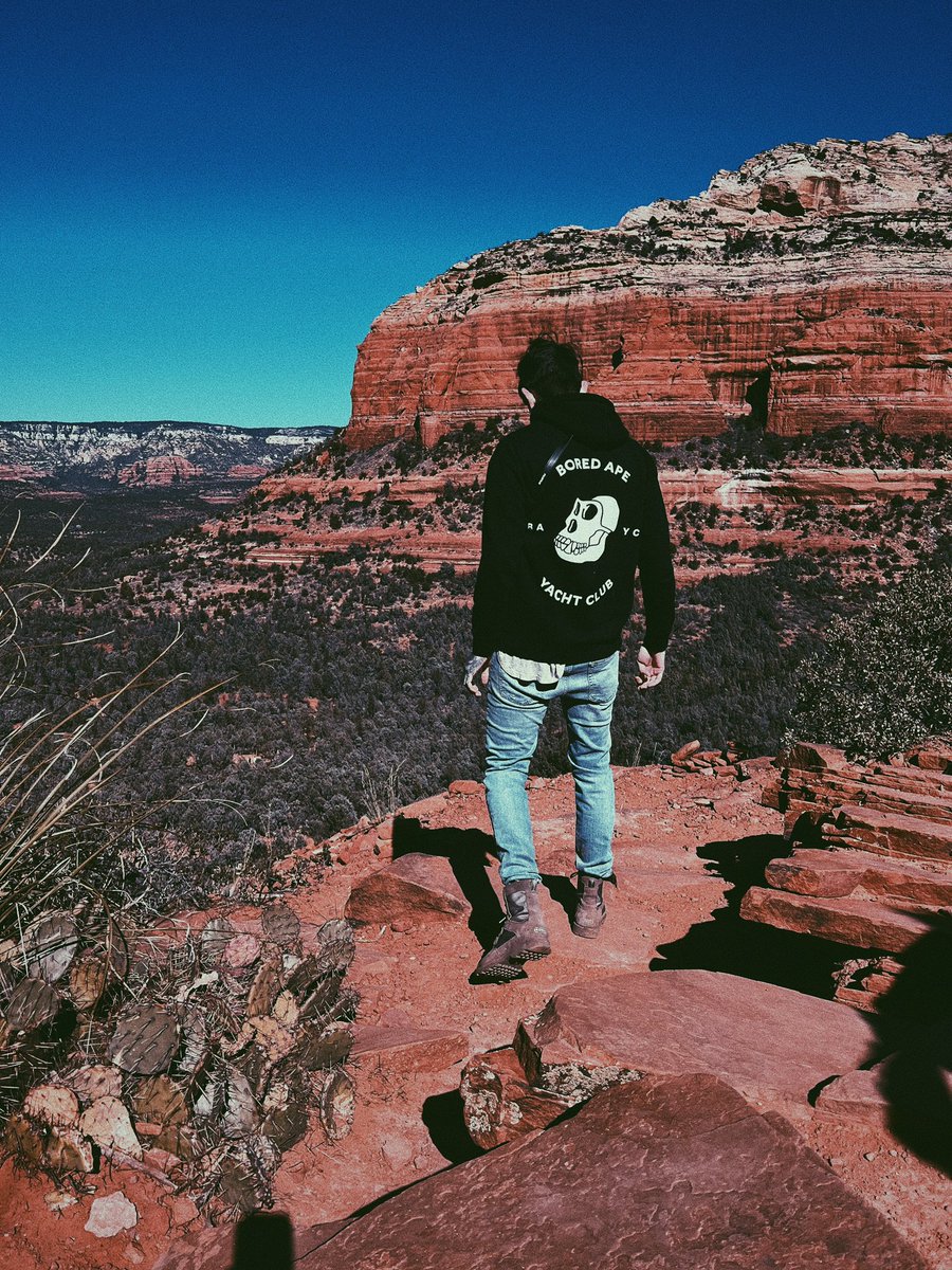 The views with <a href="/BoredApeYC/">Bored Ape Yacht Club 🍌</a>