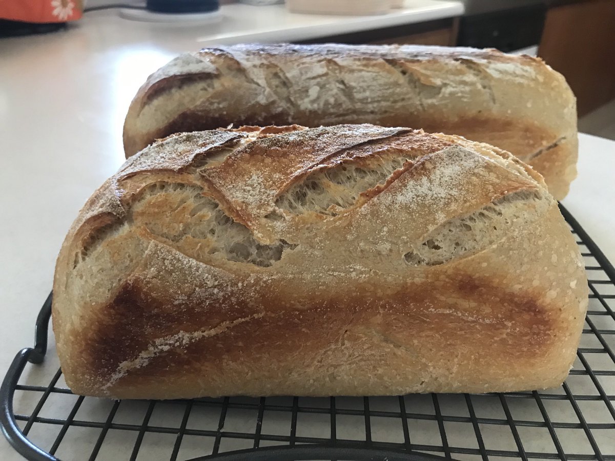 DalePearce3's tweet photo. Sunday sourdough
#pullmanpan https://t.co/UKdqqpLCqd