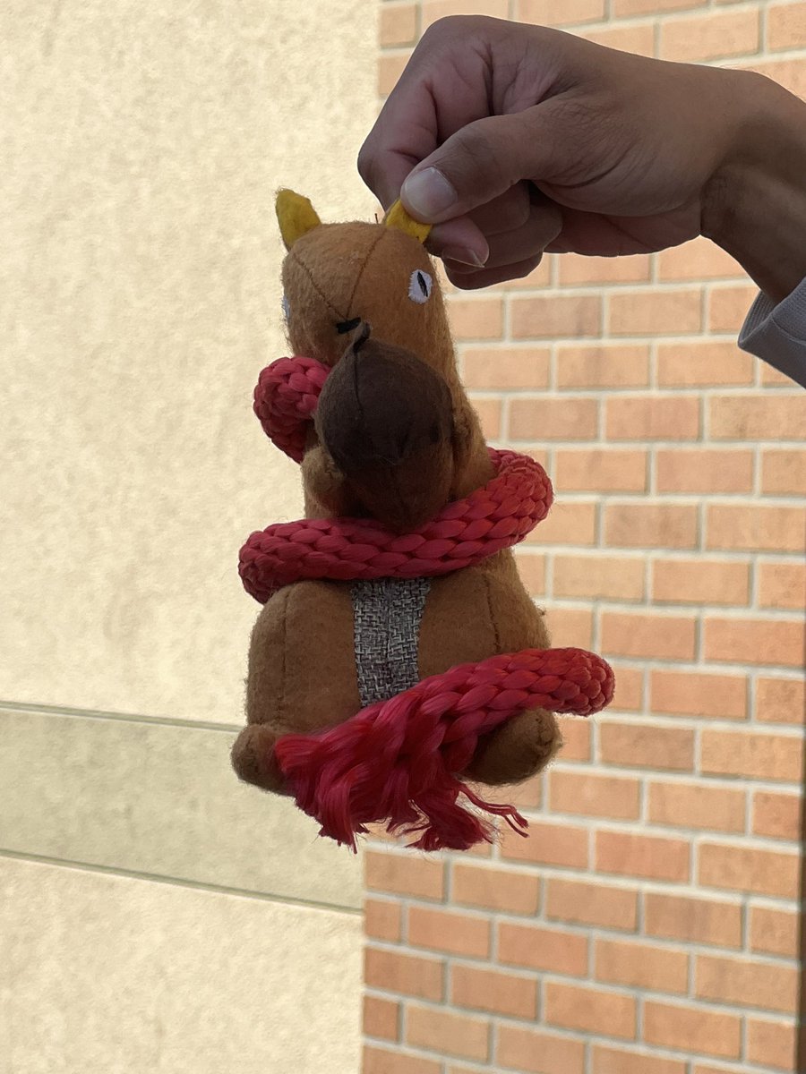 Maria Brouillard tweet media