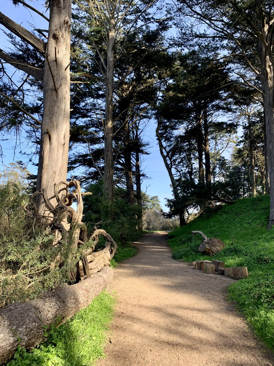 joelriddell's tweet photo. Happy in #goldengatepark - #onlyinsf #RecParkSF https://t.co/L8QKGonTm2