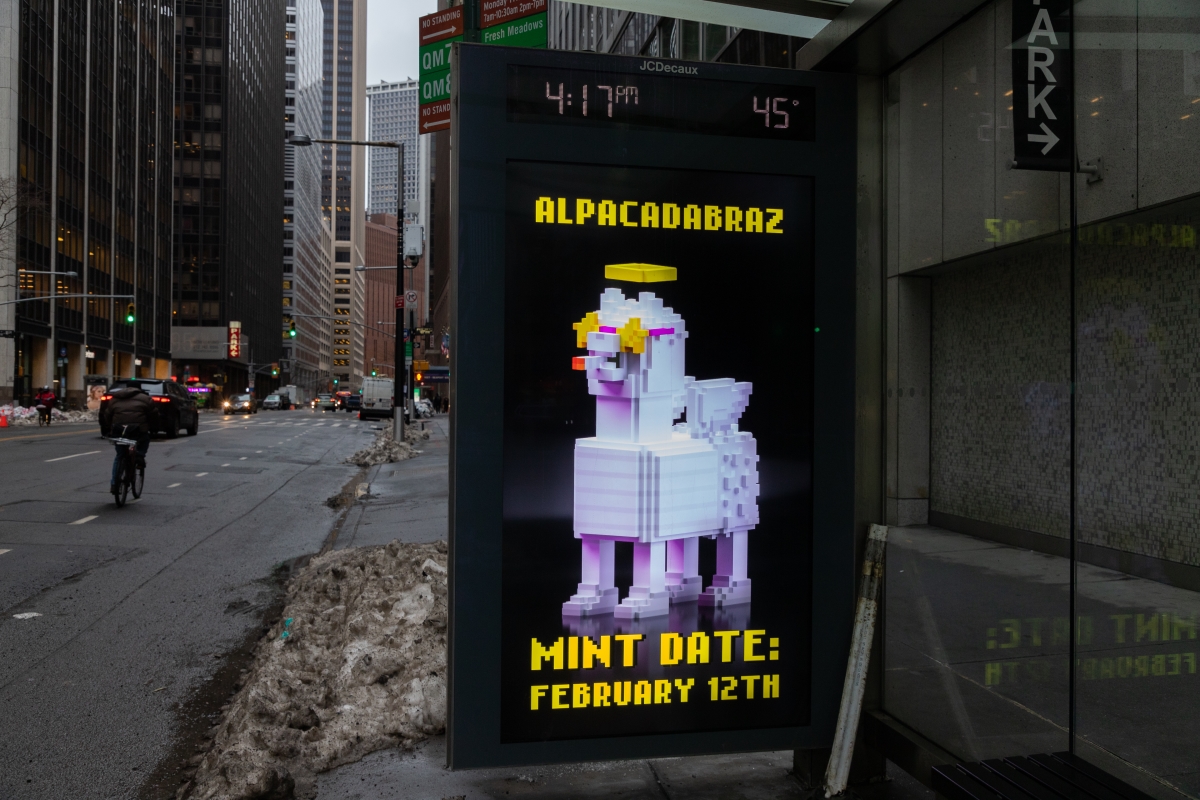 ALPACADABRAZ's tweet image. We've arrived in New York City! ✅

Spotted them? 

Share &amp;amp; have a chance on a Whitelist spot!