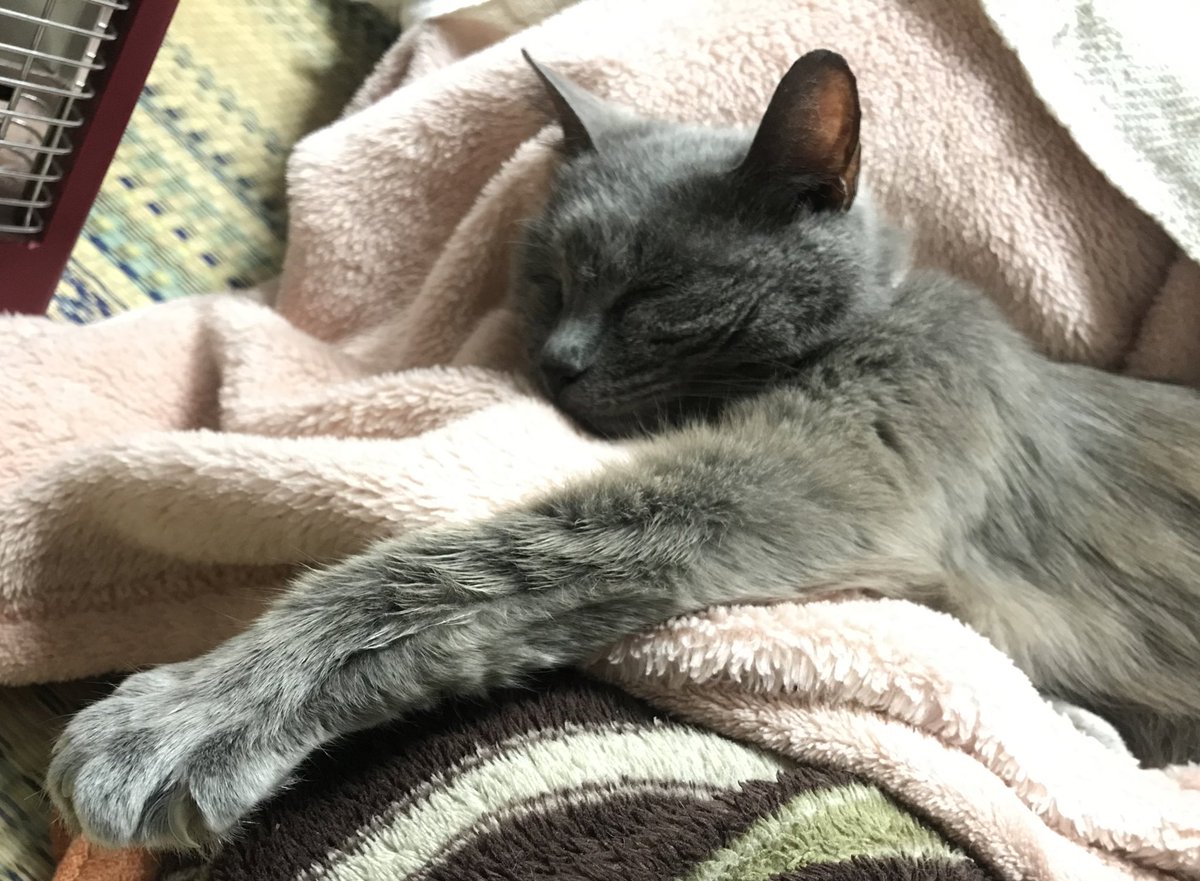 Sopdqd5chbrxum Sopdqd5chbrxum