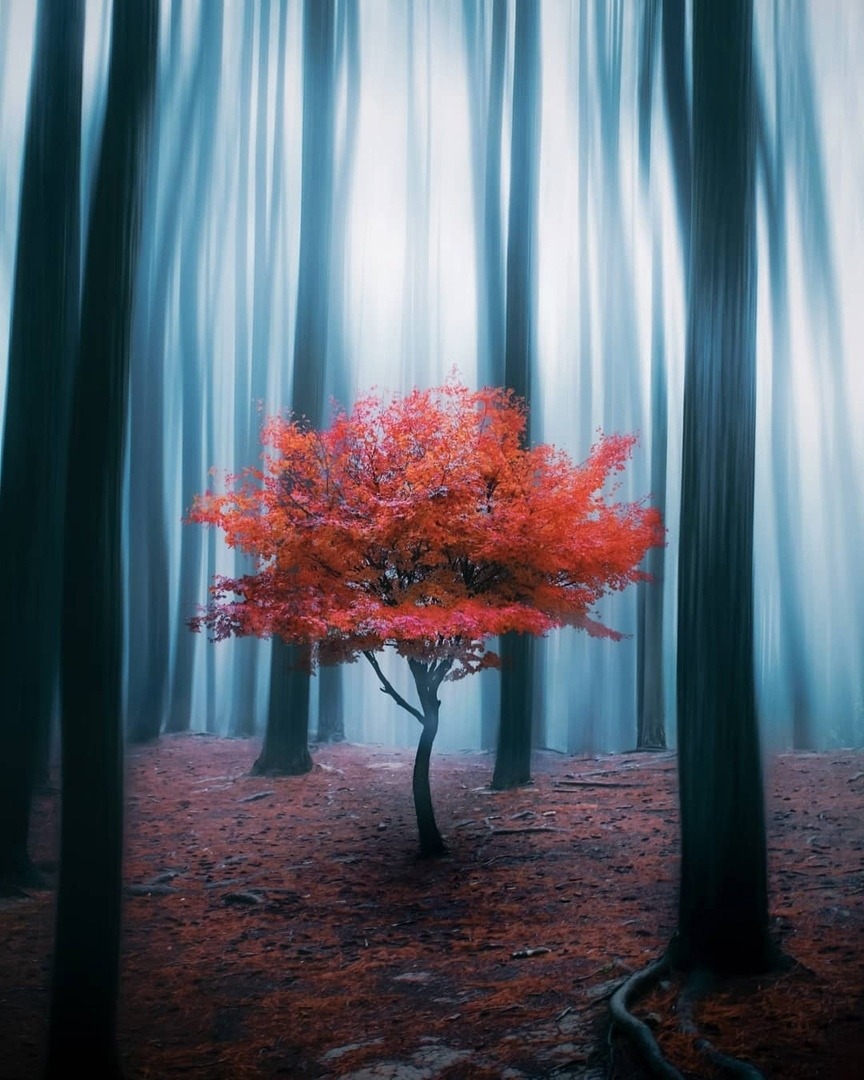 Ten un día lleno de buenos momentos que recuerdes siempre 🍂🍁🥰🍁🍂