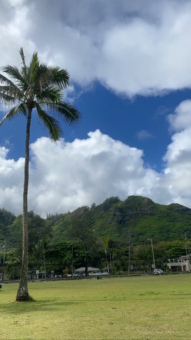 The island girl ✨       The island 🌴 https://t.co/e5z2flmFR1