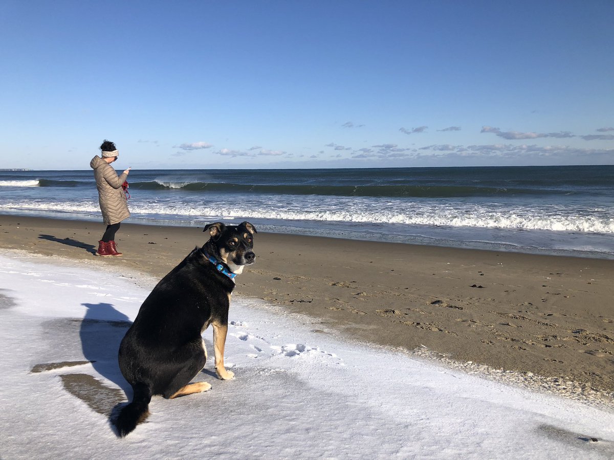 Patrick Sevigny tweet media