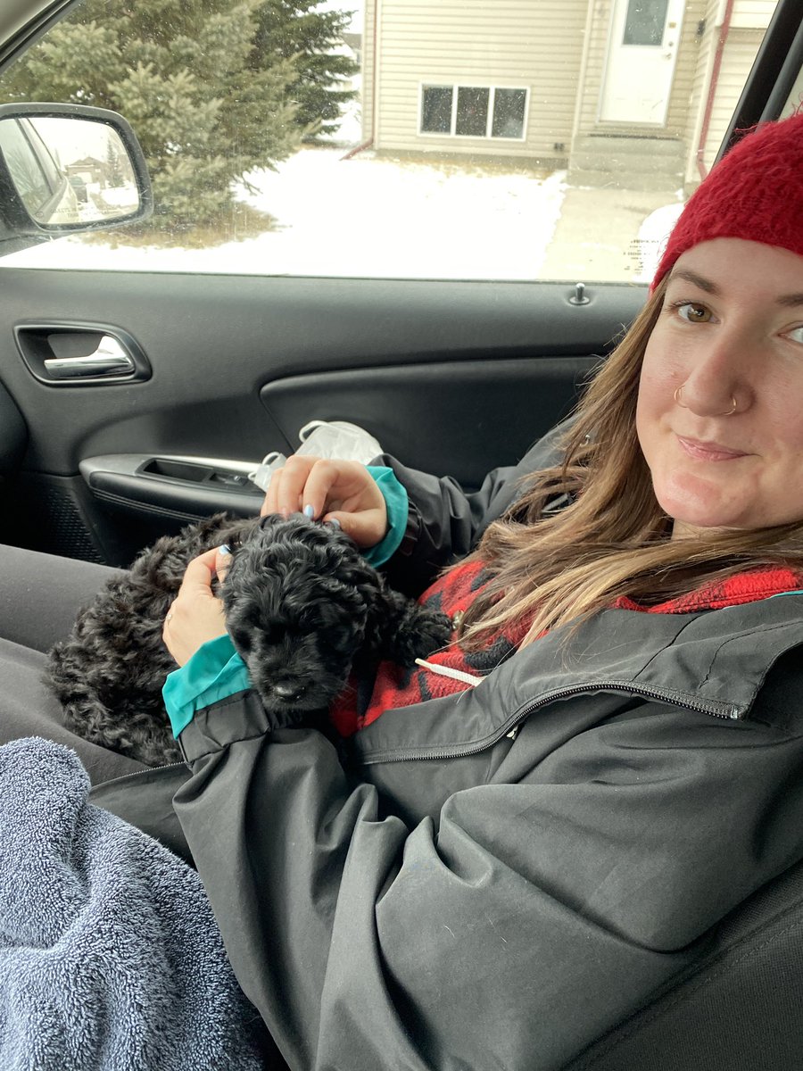 Toddcvaughan's tweet photo. Some wholesome content for an unwholesome couple of weeks in Alberta https://t.co/rVnbDUXapc
