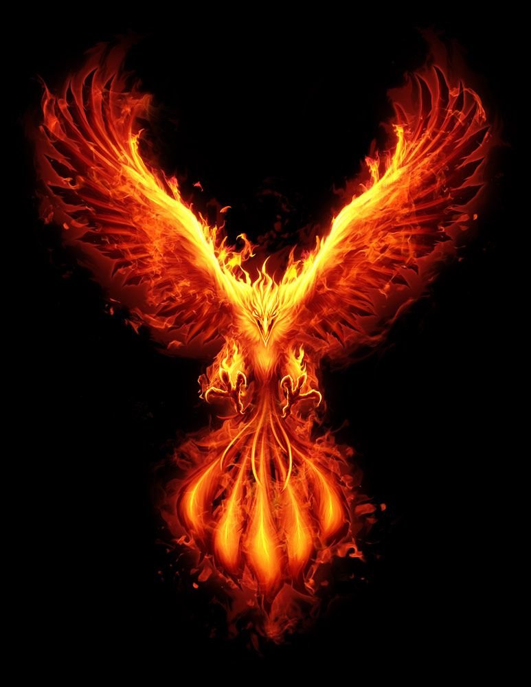 @ItsAyyMG @ScottLEOWarrior You are like the Phoenix Aaron, You are returning from ashes stronger and motivated, For sure you could get more followers than TheTrueAmg account