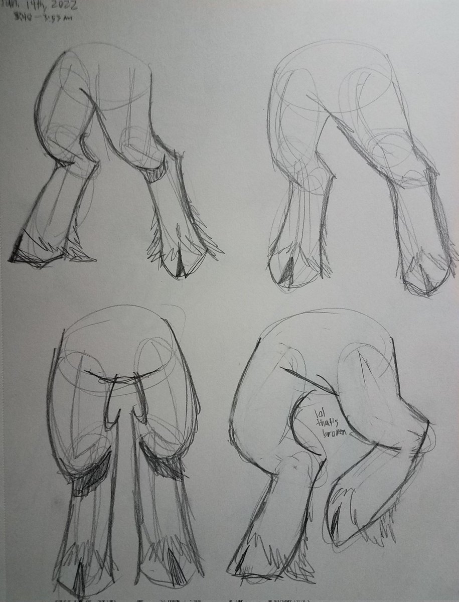 InatorL's tweet photo. Digigrade leggy page #digigrade #furry #furryart #traditionalart https://t.co/fYxJJcQ9GV