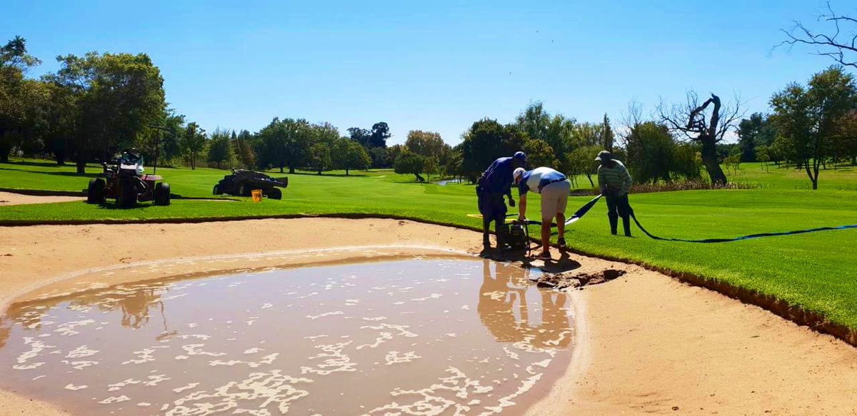 Royal Johannesburg tweet media