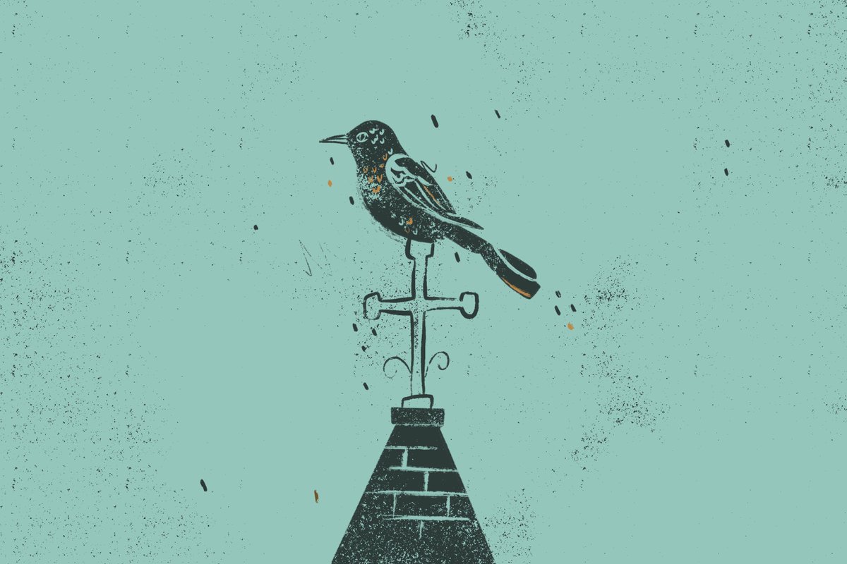 Christian Sagers tweet media