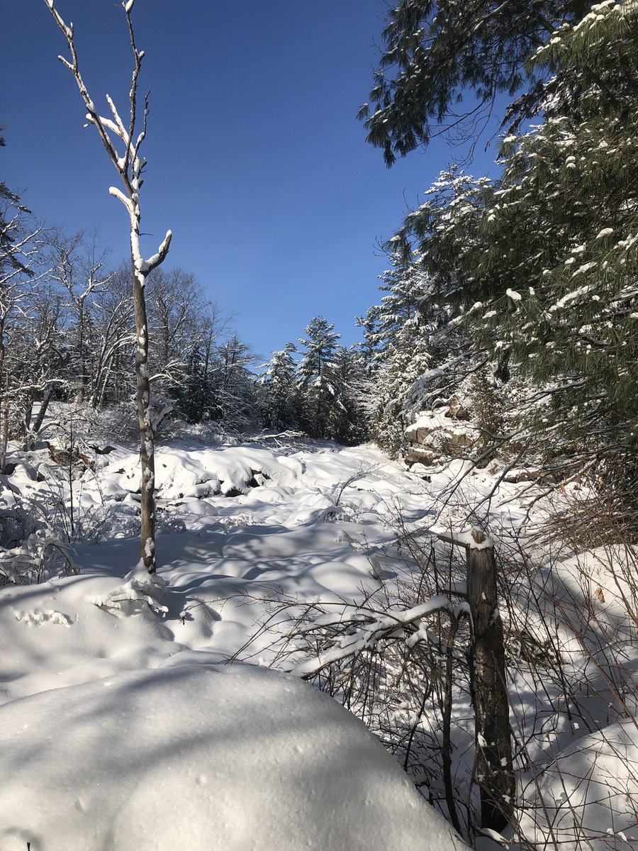 trpeters's tweet photo. Great day for a hike! https://t.co/lzNOvWPzBV
