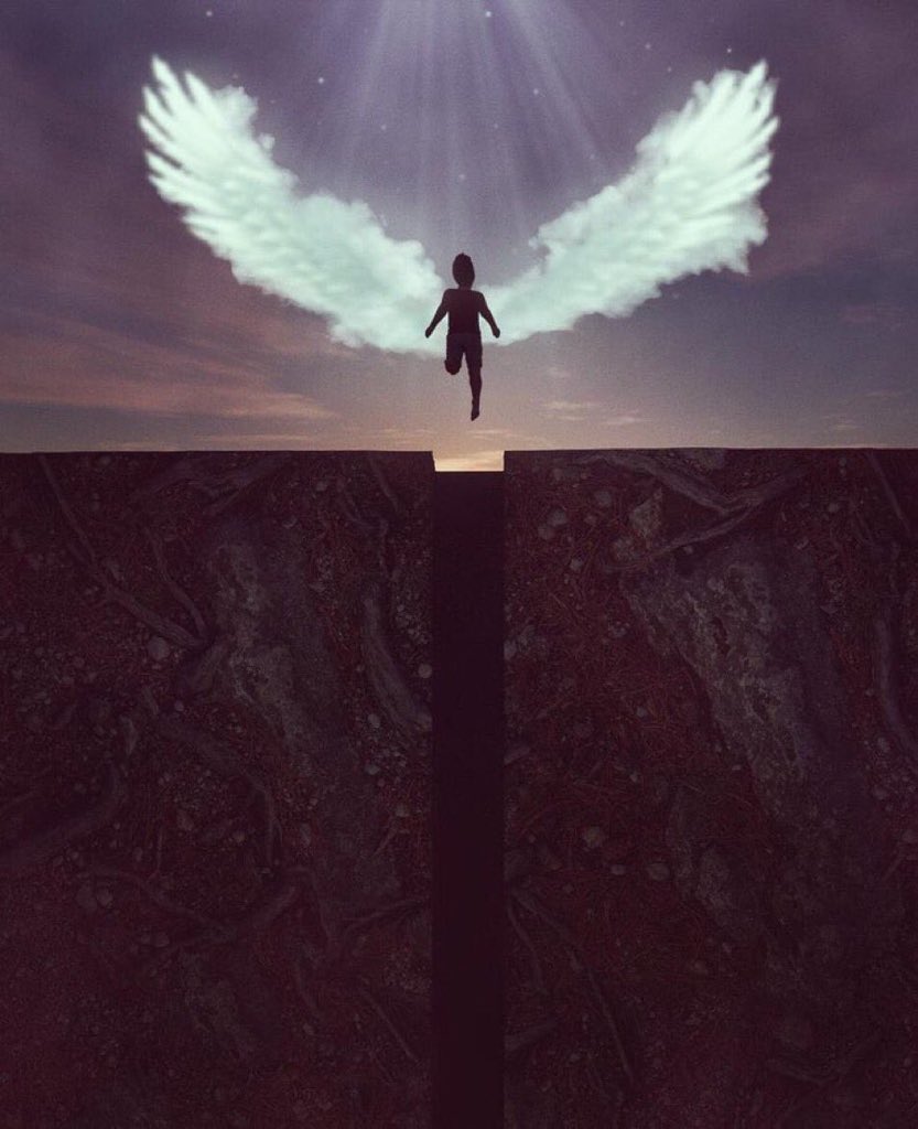 🦢♥️ 𝒜𝒯ℛ tweet media