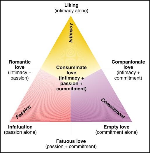 Angela3vino's tweet photo. Why true love is so hard to find... like an excellent dish... miss a key ingredient and it's not quite the same...

#Ilovegraphs #data #love https://t.co/rzqvCKgtCS