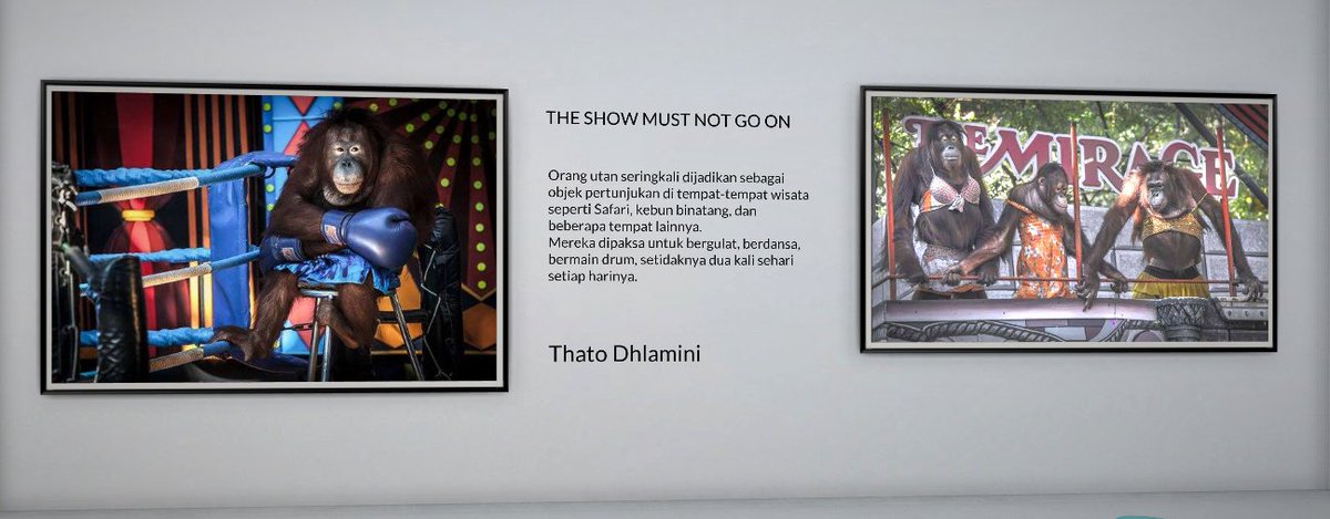 SIGMAPHOTOS's tweet photo. ㅤㅤ
THE SHOW MUST NOT GO ON
ㅤㅤ https://t.co/MLWt7h8UbY
