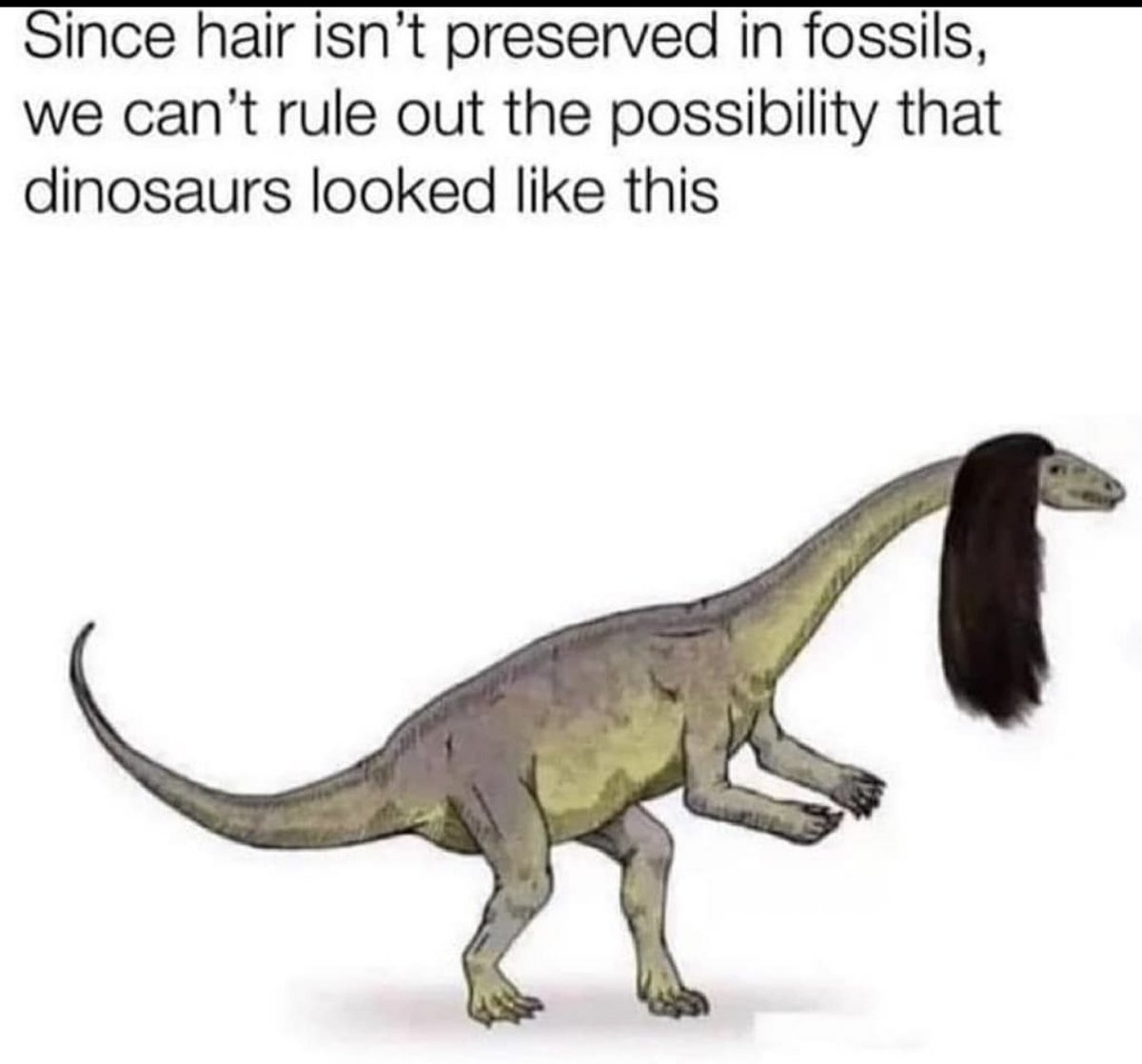 𝖕𝖚𝖘𝖘𝖞 𝖗𝖎𝖔𝖙💦 (@pussyrrriot) on Twitter photo 