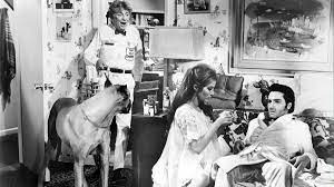 merlinpapin3's tweet photo. Mon #TOP30 #Année1968, Sous les Pavés le Cinéma

25 - #LeGrandFrisson de #NormanTaurog  avec #ElvisPresley #MicheleCarey #DonPorter #DickSargent

@FredOL69007 @tbarnaud https://t.co/RBAjtRlpze