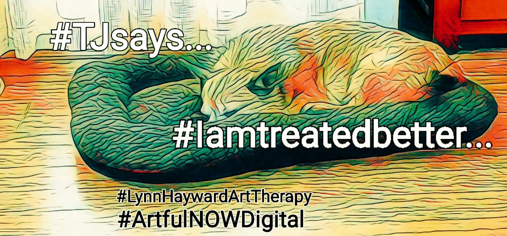 ArtfulnowStudio's tweet image. #Splutter#Splutter 
why do politicians speak about people as if the aren't real?
#Casellati...
#Cohort...
#ETC

It's appalling...desensitisation at It's worst!

Answer the question as posed!

Why
Can't 
People
be
housed 
in
the
Community?

#simple 
#ALT text has more information