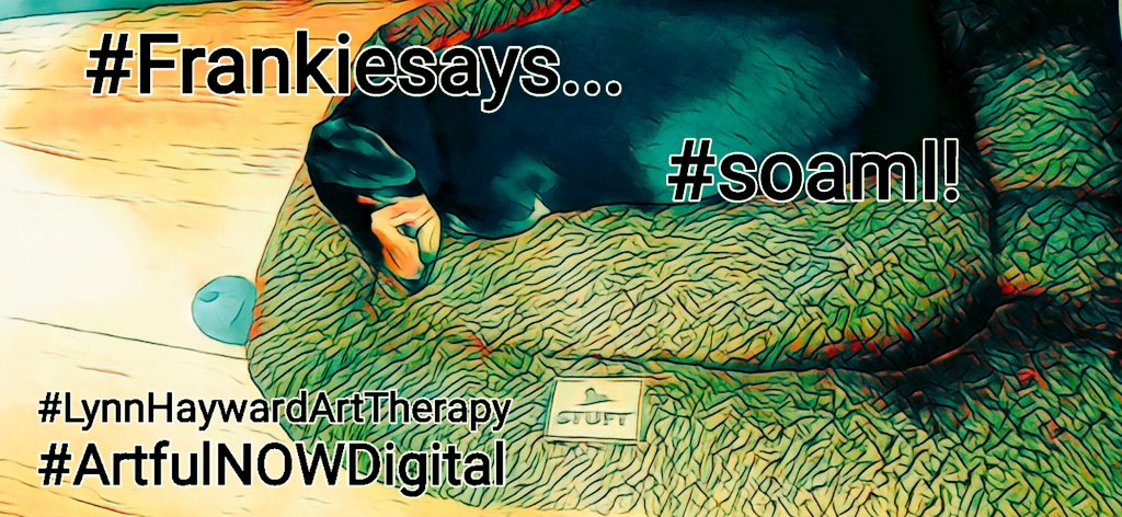 ArtfulnowStudio's tweet image. #Splutter#Splutter 
why do politicians speak about people as if the aren't real?
#Casellati...
#Cohort...
#ETC

It's appalling...desensitisation at It's worst!

Answer the question as posed!

Why
Can't 
People
be
housed 
in
the
Community?

#simple 
#ALT text has more information