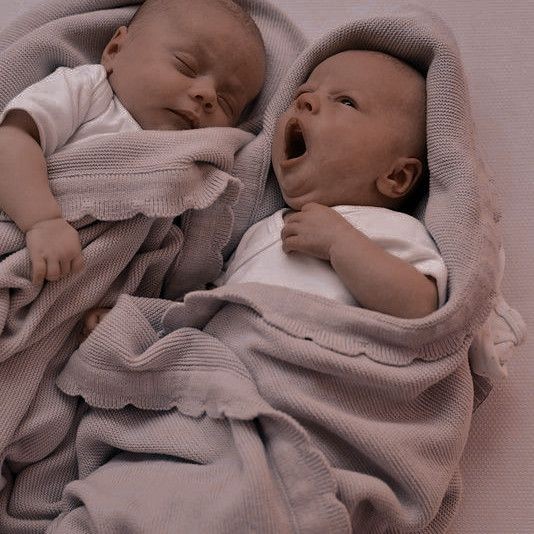 ᅟᅟᅟᅟᅟᅟᅟᅟᅟ
ᅟ ᅟ  Oliver Valentim Romanoff Rogers.
ᅟ  ———  05/02 - 22:10 - 2,5 kg  ——— 
ᅟᅟᅟᅟᅟᅟᅟᅟᅟ