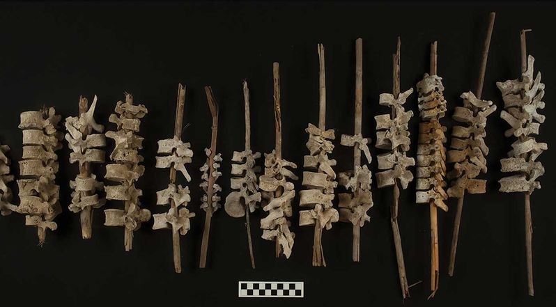 Hundreds of human vertebrae strung on poles found in Peru https://t.co/2bzpUuQDSw https://t.co/8sRpbIODEc