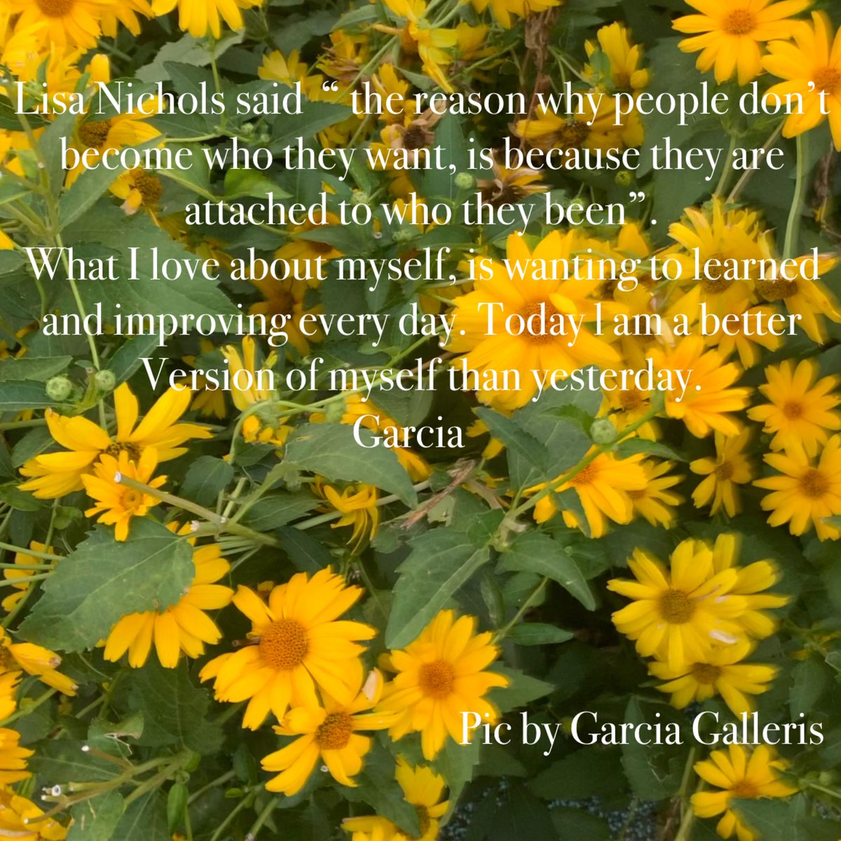 Sunday awaits! Happy Sunday Eve!🎉🎊🦋