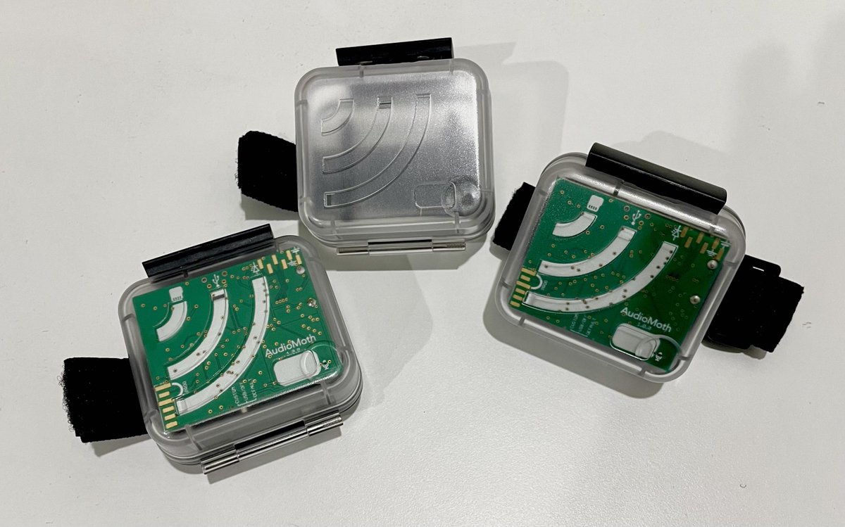 LeahBarclay's tweet photo. The new #Hydromoth underwater cases from @OpenAcoustics just arrived! Like the #audiomoth, these will be game changing for accessible longterm underwater acoustic monitoring. Time for a swim!😊 #ecoacoustics #bioacoustics https://t.co/zMf53mwjYN
