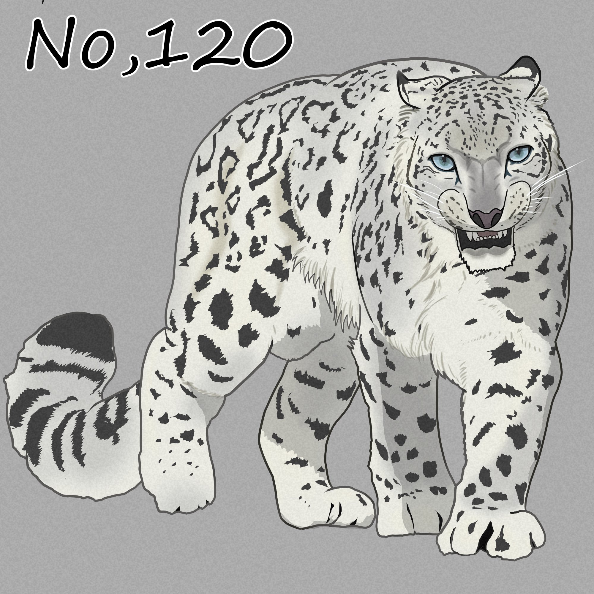 O Xrhsths H N Seaton Sto Twitter ユキヒョウ No 1 寒冷地に暮らすヒョウ 白豹ではなく 雪豹 というネーミングに風情を感じます 世界に広く分布している黄色のヒョウと比べると 似ているところ 似ていないところの不可思議さが面白いです 動物イラスト O Xrhsths H N Seaton Sto Twitter ユキヒョウ No 1 寒冷地に暮らすヒョウ 白豹ではなく 雪豹 というネーミングに風情を感じます 世界に広く分布している黄色のヒョウと比べると 似ているところ 似ていないところの不可思議さが面白いです 動物イラスト