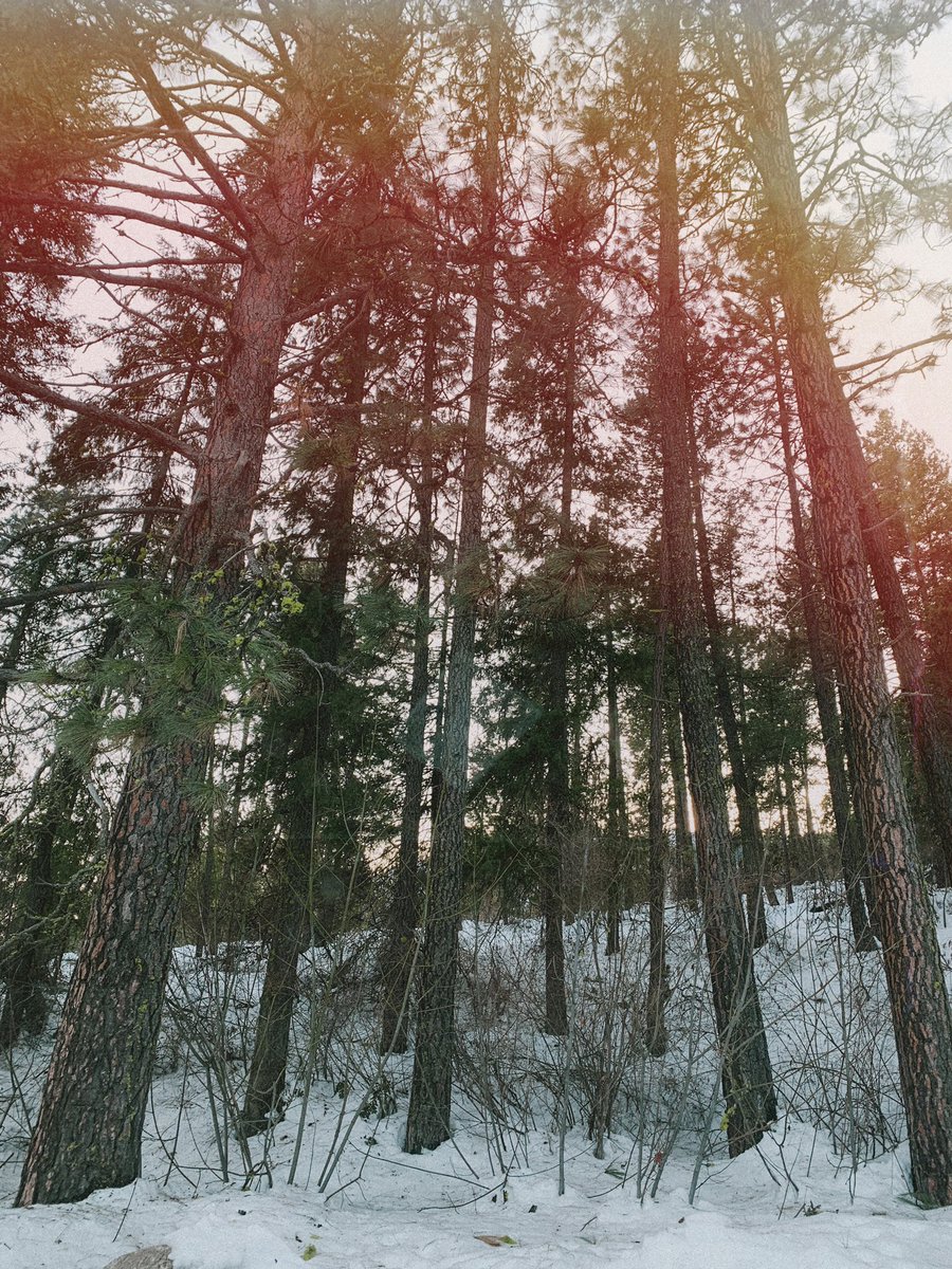 chloecobryan's tweet image. Leavenworth ‘22