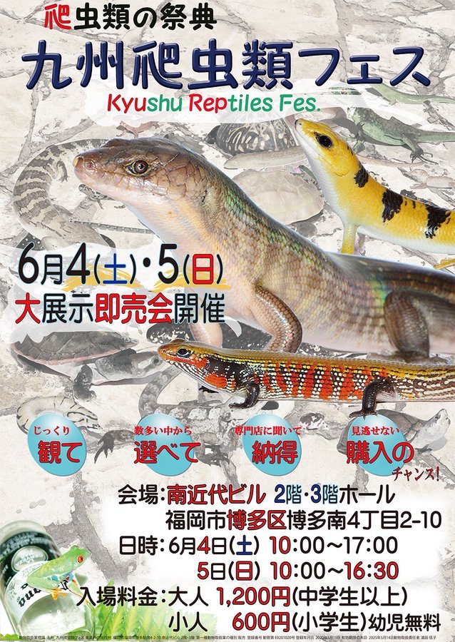 出店ショップ一覧 九州最大級の爬虫類展示即売イベント九州爬虫類フェス