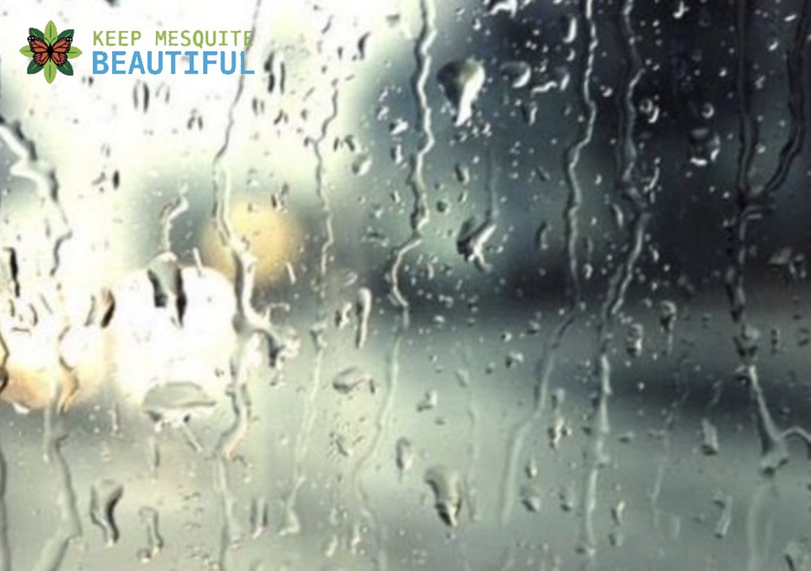 From KMB Board member Dr. Terri White,
"We've had the cold needed and enough rain for the germination of the indigenous seed planted during the Butterfly Trail Wildflower Seeding Project, but may be a couple of years before we know the full success of the planting."