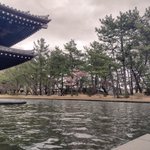 鹿児島 砂むし温泉 指宿白水館(Hakusuikan)のツイート画像