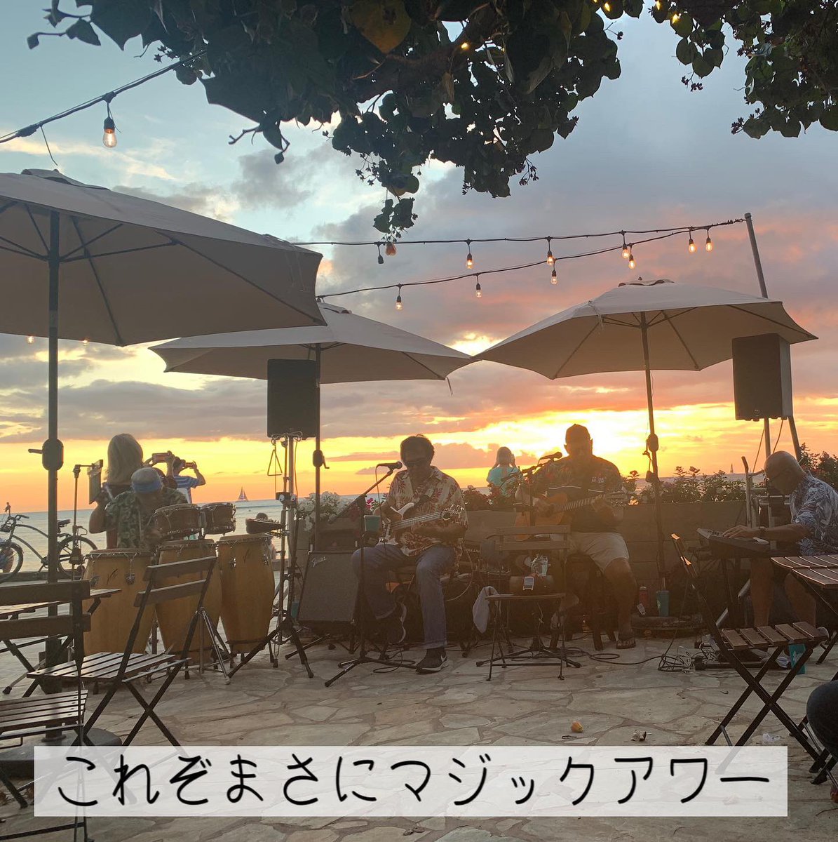 aloha_guideplus's tweet photo. ワイキキから歩いて五分。Barefoot Beach Cafe は当に地上の楽園。

#ハワイグルメ #ハワイディナー #ハワイサンセット https://t.co/svA1EKuLPC