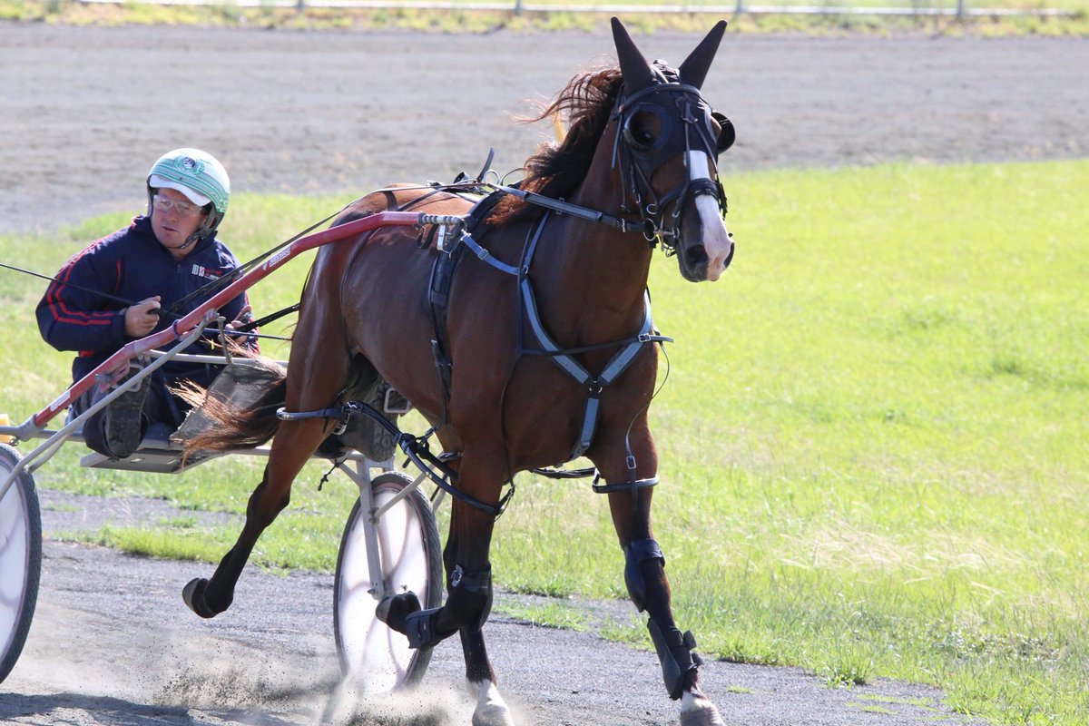 Wingnut Farms tweet media