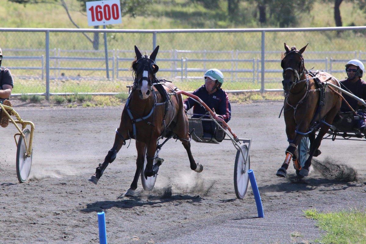 Wingnut Farms tweet media