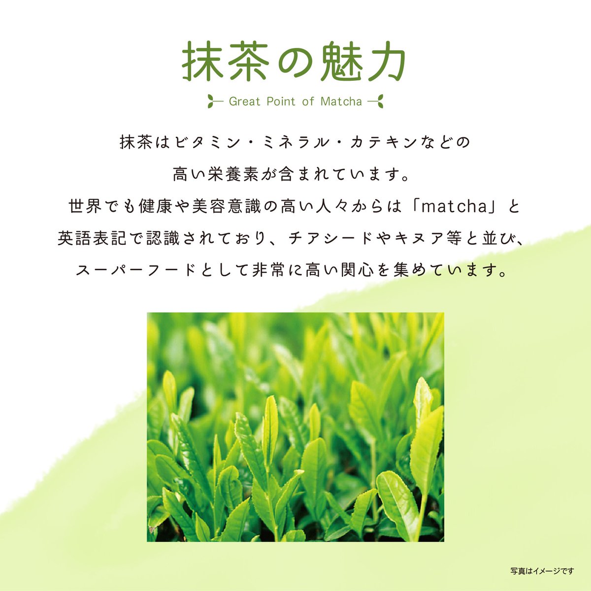 zeitakubihadado's tweet photo. 本日は #抹茶の日 🍵

抹茶de美肌
「洗い流すフェイスパック」では
国産茶葉ブランドの中でも
特に貴重な👘 京都宇治抹茶 👘を使用
厳正な管理のもと栽培されている、
100％オーガニックにこだわりました。

#贅沢美肌堂 #フェイスパック #抹茶好き #美容
https://t.co/PUsPNO2MwI https://t.co/7xf9LOxzmz