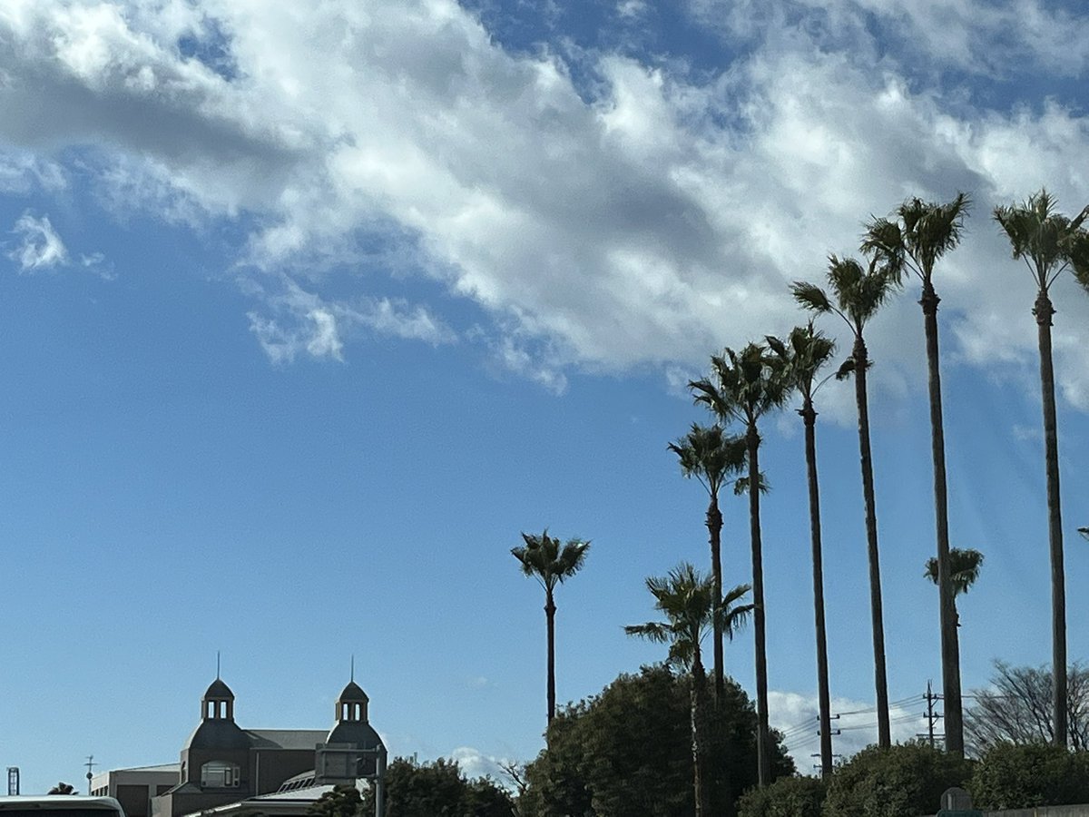 tk16dicky's tweet image. イイ天気