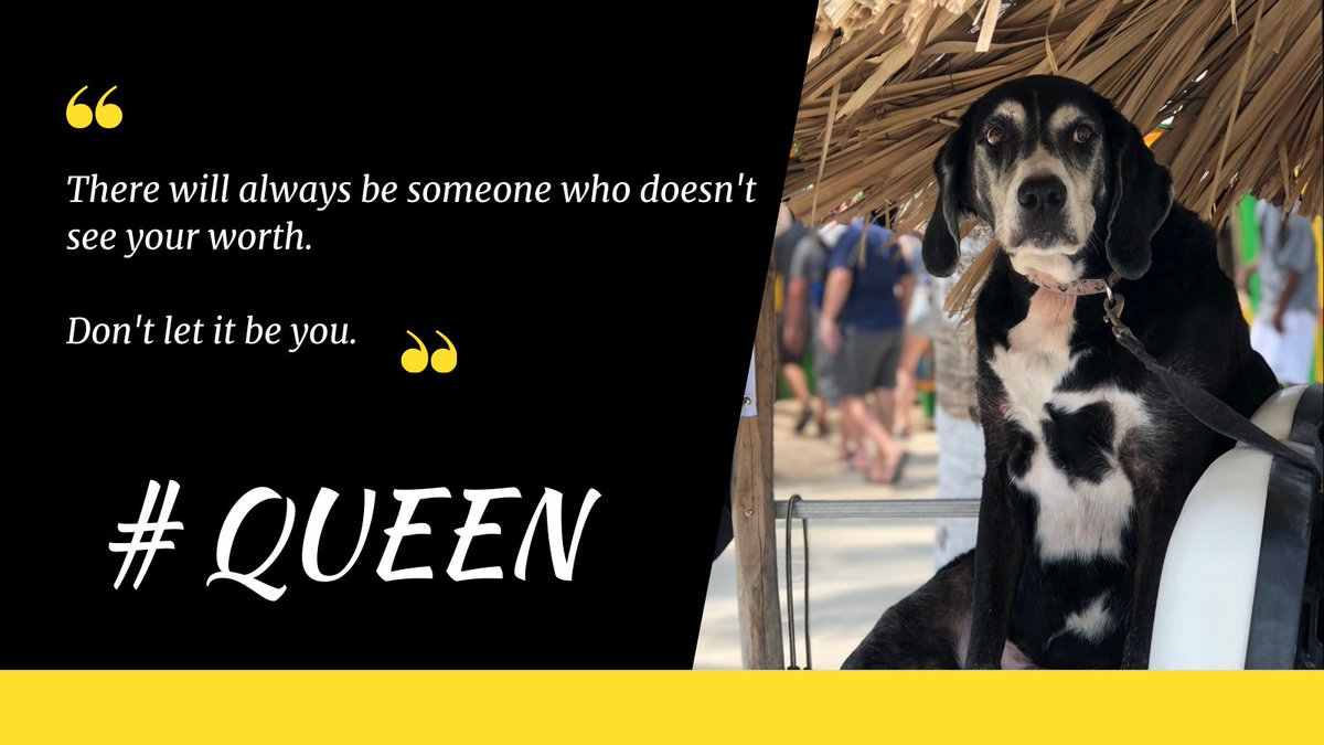 mental_stuff's tweet image. #QUEEN Fighting low self esteem in women and girls. I'm done. It's ENOUGH already! SERIOUSLY!

You are the QUEEN of your life. Now.

paypal.com/paypalme/laura…