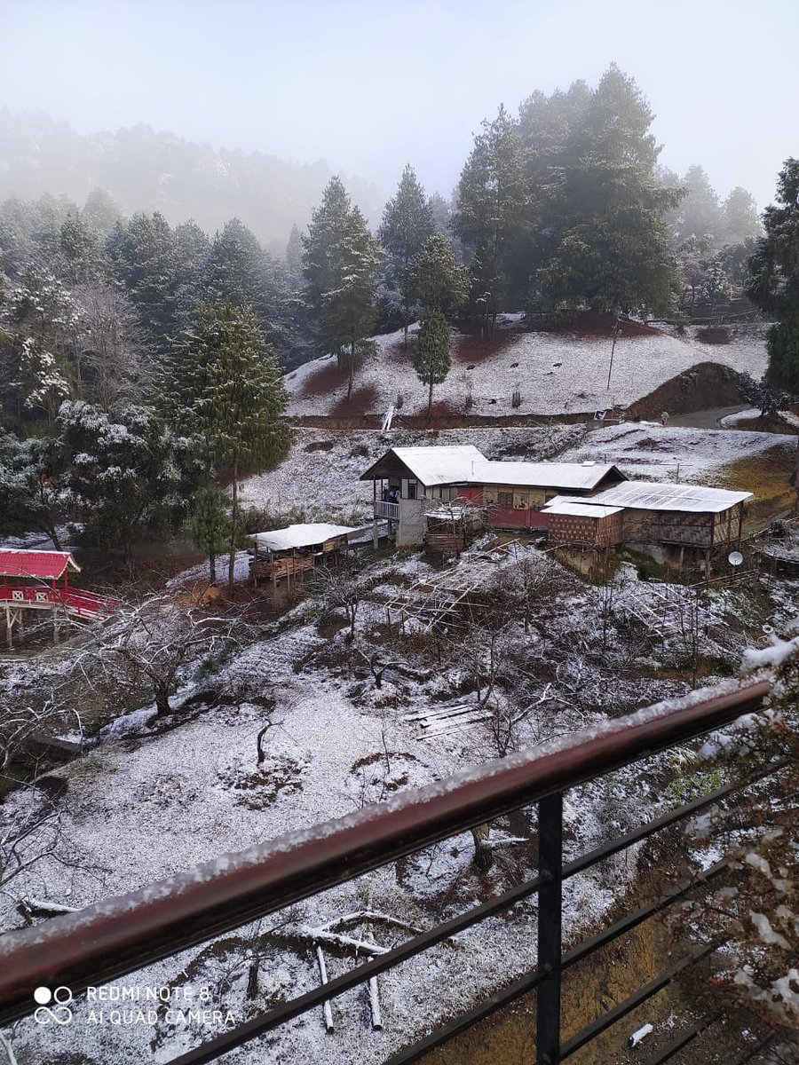 DiproZiro's tweet photo. Ziro witnessed snowfall for the first time in more than three decades. The last snowfall was recorded in 1986.
@DDNewsArunachal @ArunachalDIPR @PemaKhanduBJP https://t.co/Sqr4fh3GXV