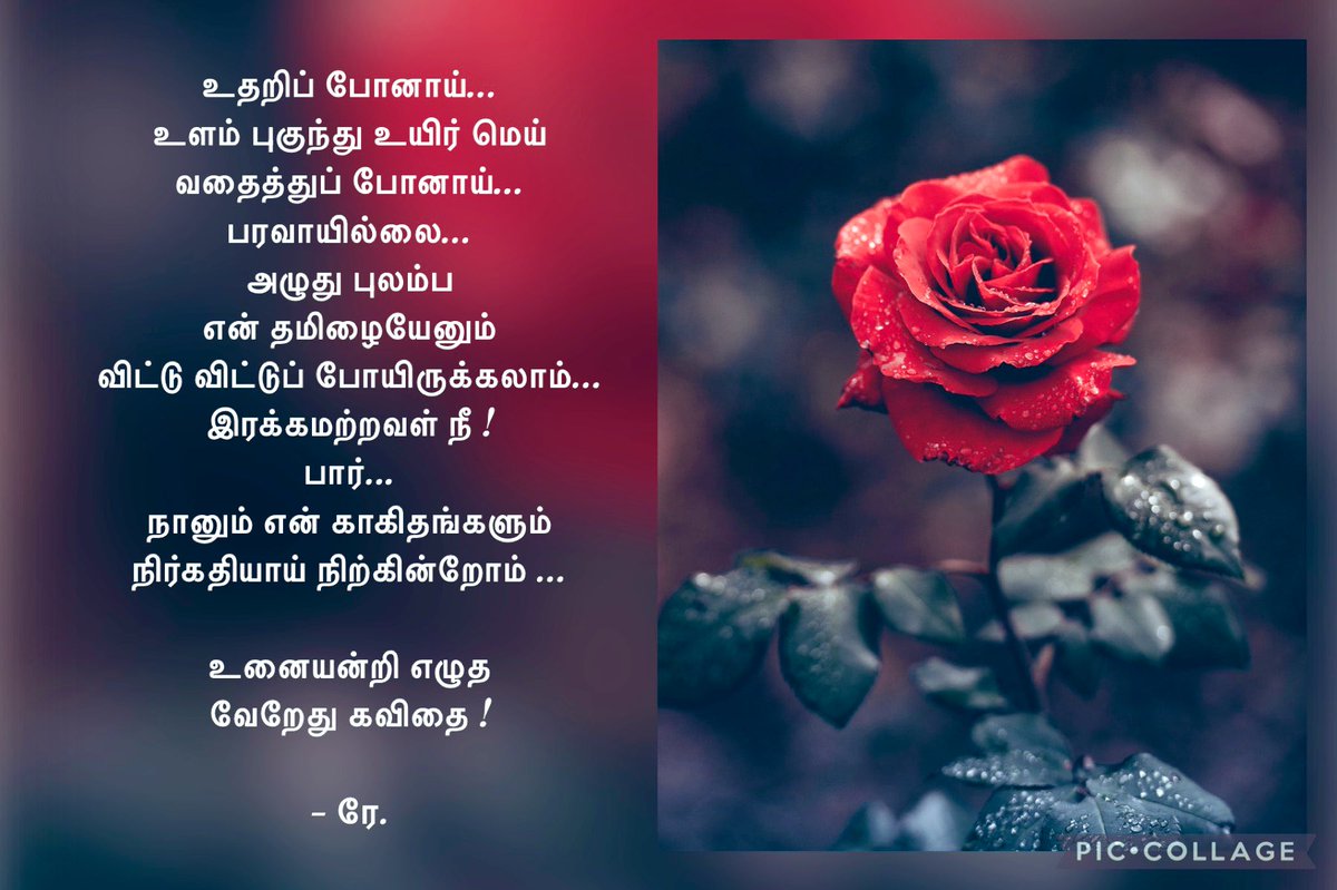 MommyofRitz's tweet photo. #Re_writes
உனையன்றி எழுத வேறேது கவிதை ! https://t.co/4pcJ0ugEXf