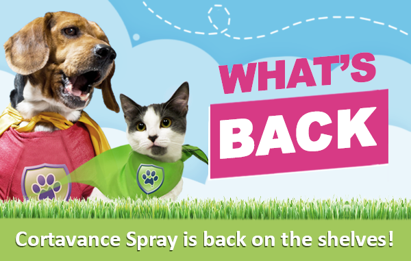PetGuardiansAus's tweet photo. Look what’s back in stock this week! - https://t.co/HXSO0cpEIw https://t.co/IH7MsZnnQJ