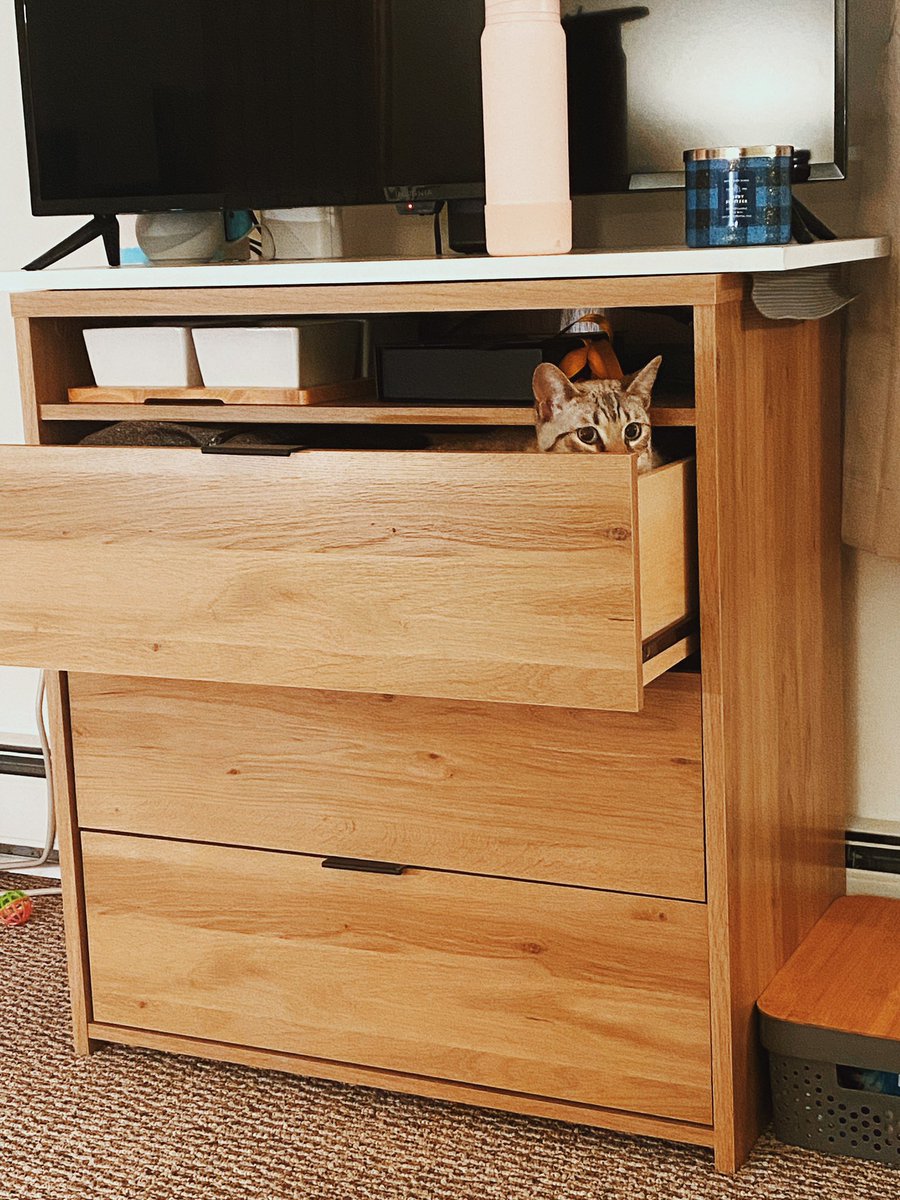 beakybanter's tweet photo. #justweekendthings spending time with my love, my fur-son, and going to IKEA to get a new table. ๐ฅฐ https://t.co/b1lsniu6bK