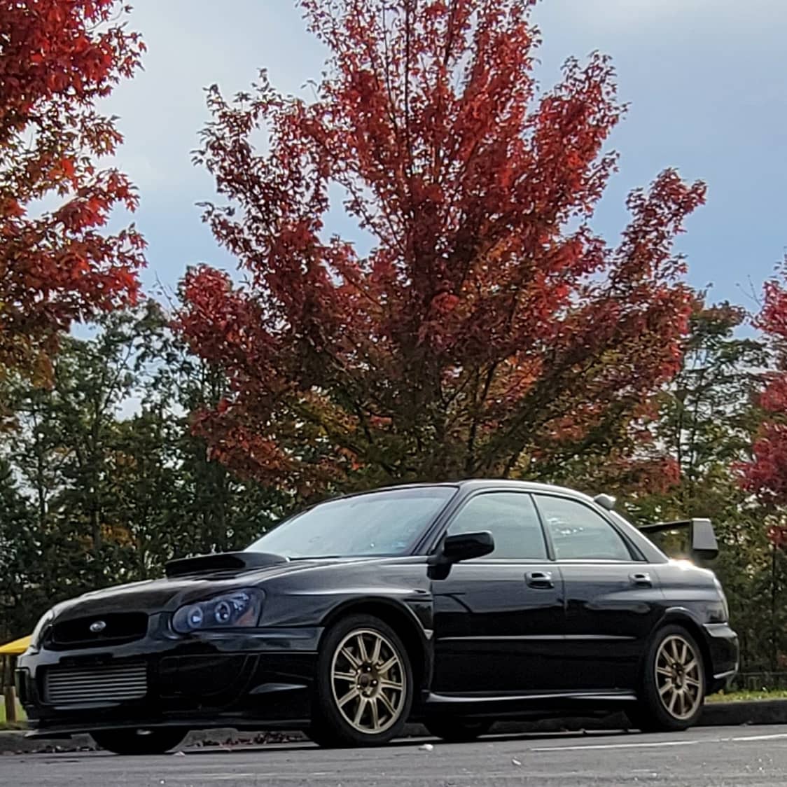 Noah Mitchell tweet media