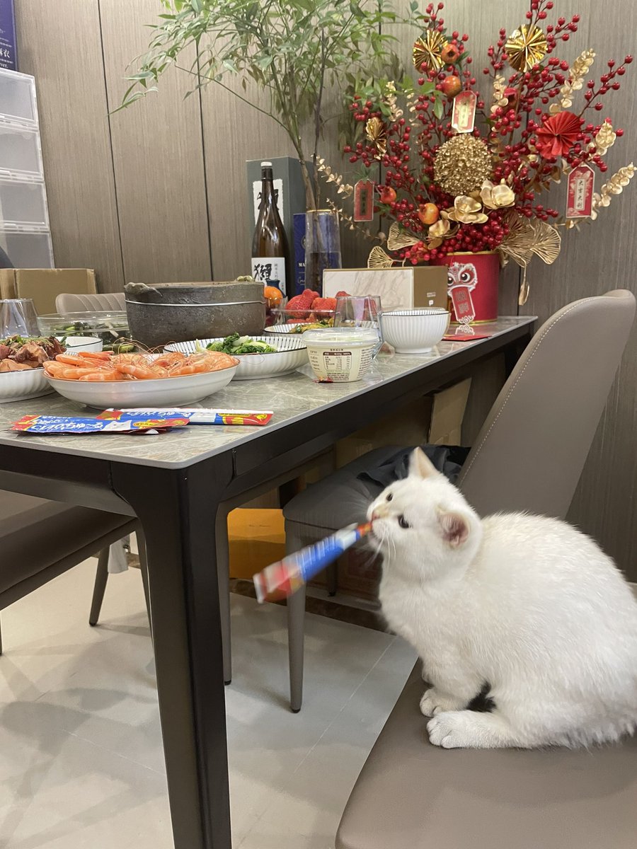 卖萌是有预谋的