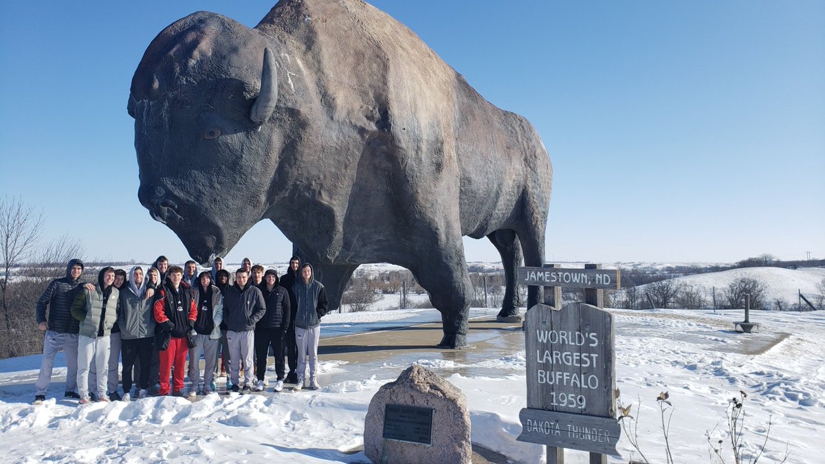ViterboBball's tweet photo. Great weekend for the V-Hawks in North Dakota. Came away with two big road wins and we got to roam around with the World's Largest Buffalo.

#VHawksflytogether https://t.co/OdsbgafUa9