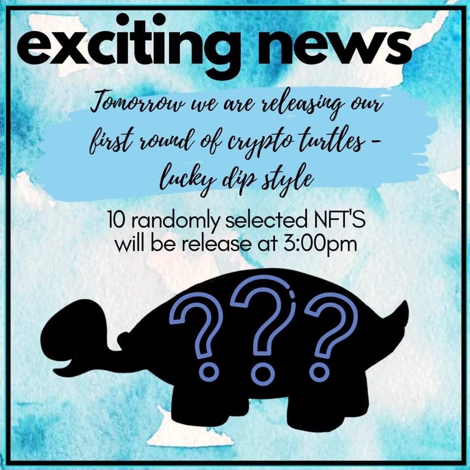 Y_NFT_Designer's tweet photo. 10 randomly selected Crypto turtles will be releasing on open-sea on the 7th of feb #nft #opensea #cryptoturtle #designer https://t.co/DYJh7HPYJU